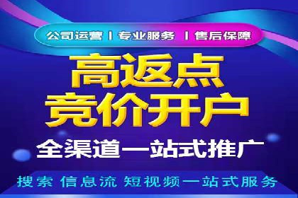 实战解析：百度竞价排名服务成功案例