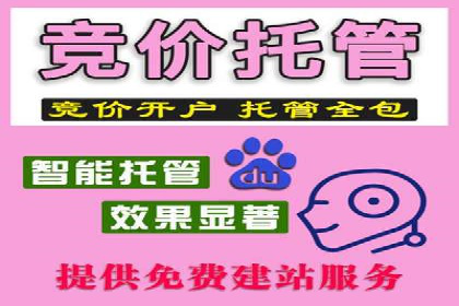 信息流开户返点揭秘：实战案例解析